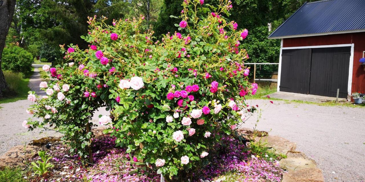 Kinne-Vedum Bed And Breakfast Gotene ภายนอก รูปภาพ
