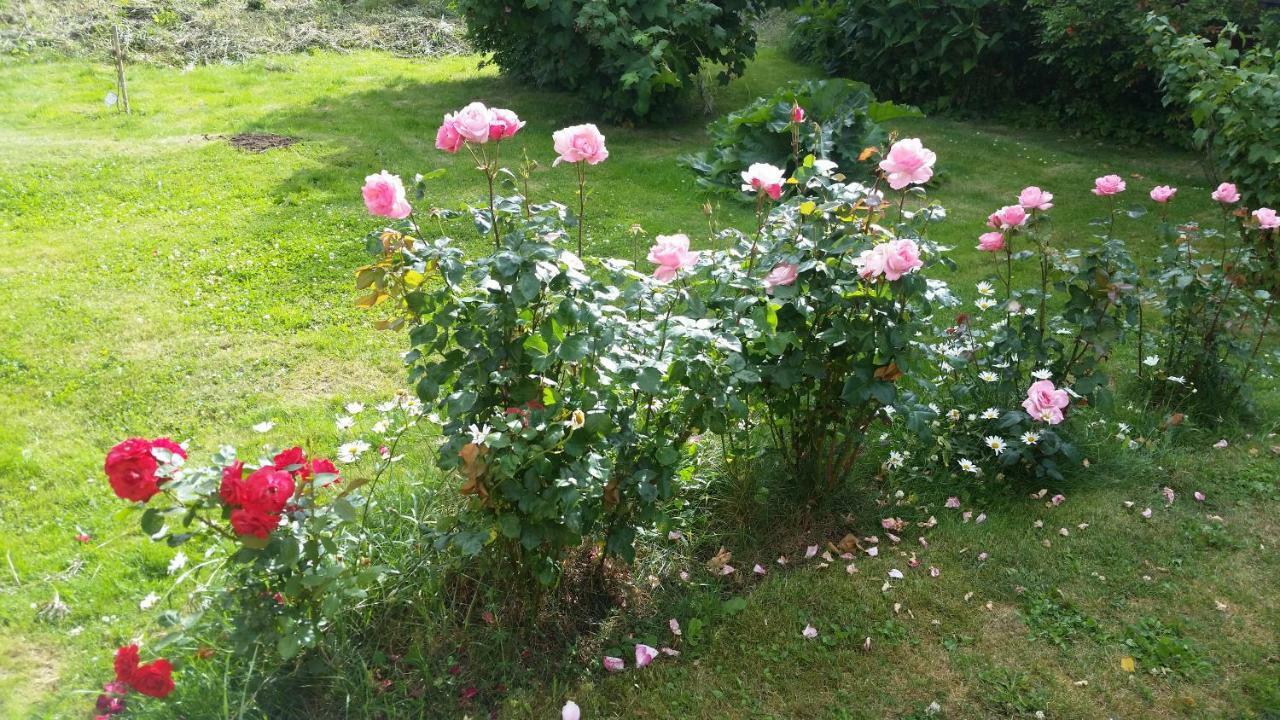 Kinne-Vedum Bed And Breakfast Gotene ภายนอก รูปภาพ